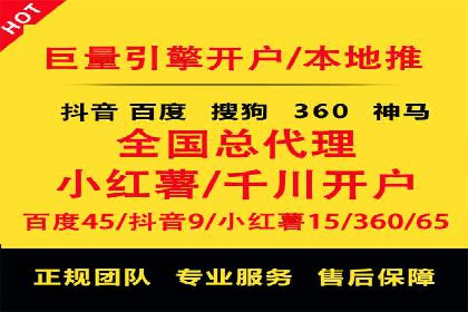 行业领先！专业SEM托管的成功实践案例